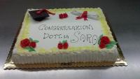 laurea-3