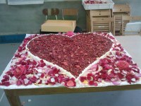 San Valentino foto-torte-016